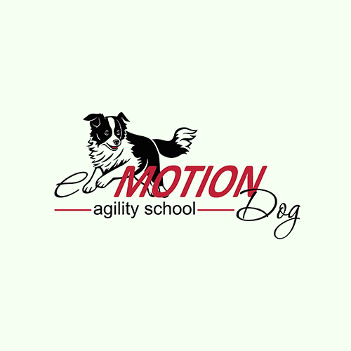 agility school