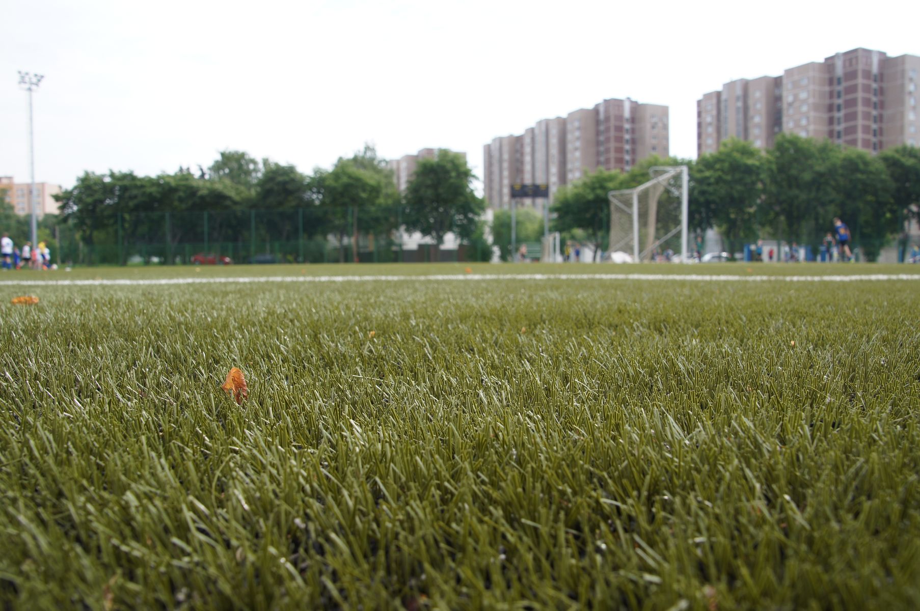 Искусственная спортивная трава